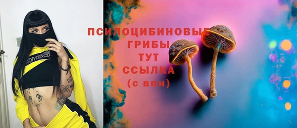 PSILOCYBIN Бронницы