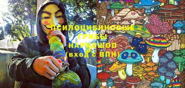 дмт Тобольск