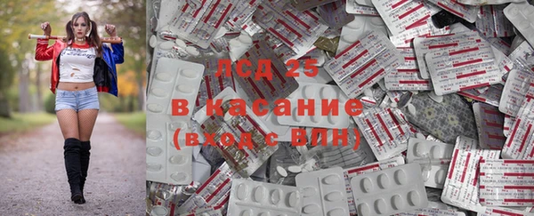 PSILOCYBIN Бронницы