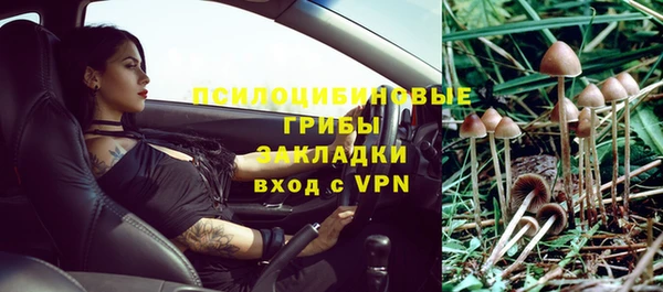 ALPHA PVP Бородино