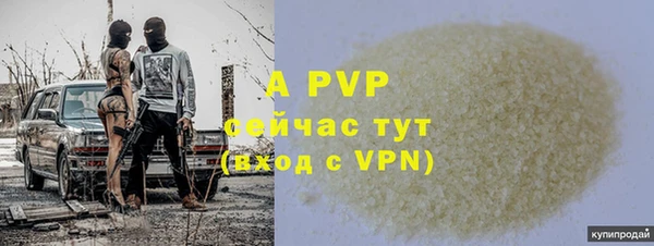 PSILOCYBIN Бронницы