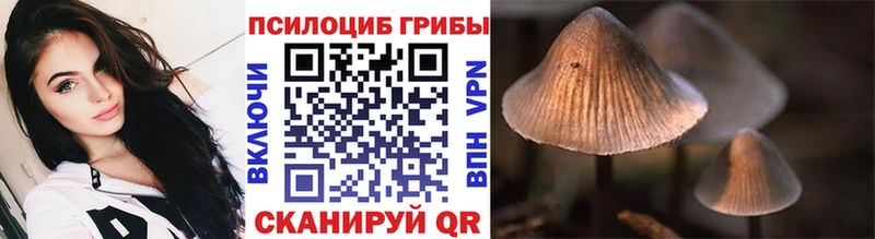 Галлюциногенные грибы Cubensis  где продают наркотики  ОМГ ОМГ   Брюховецкая 